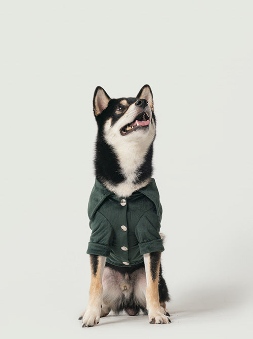Stainway Shirt Green Dog Apparel Premium Pet Supply Premium - lifestyle view