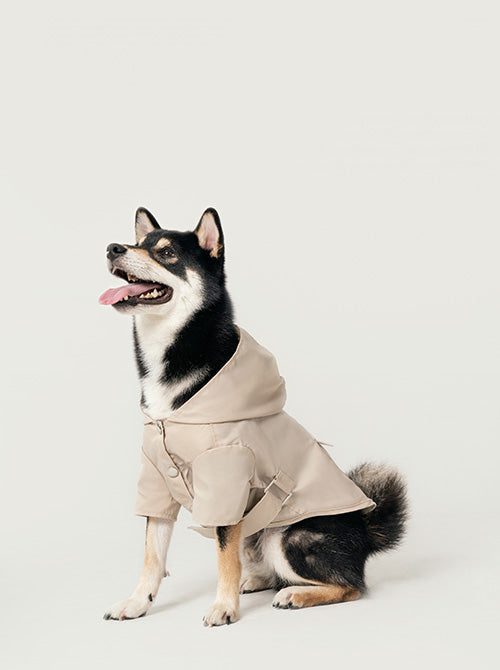 Bowery Raincoat Beige Dog Apparel Premium Pet Supply Premium - main product image