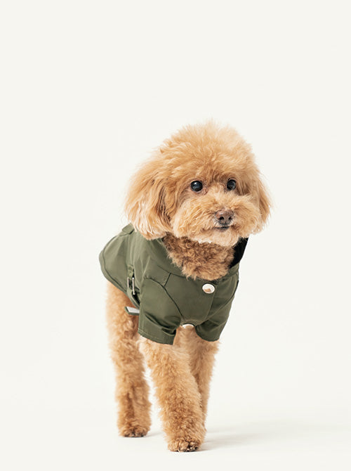 Bowery Raincoat Green Dog Apparel Premium Pet Supply Premium - lifestyle view