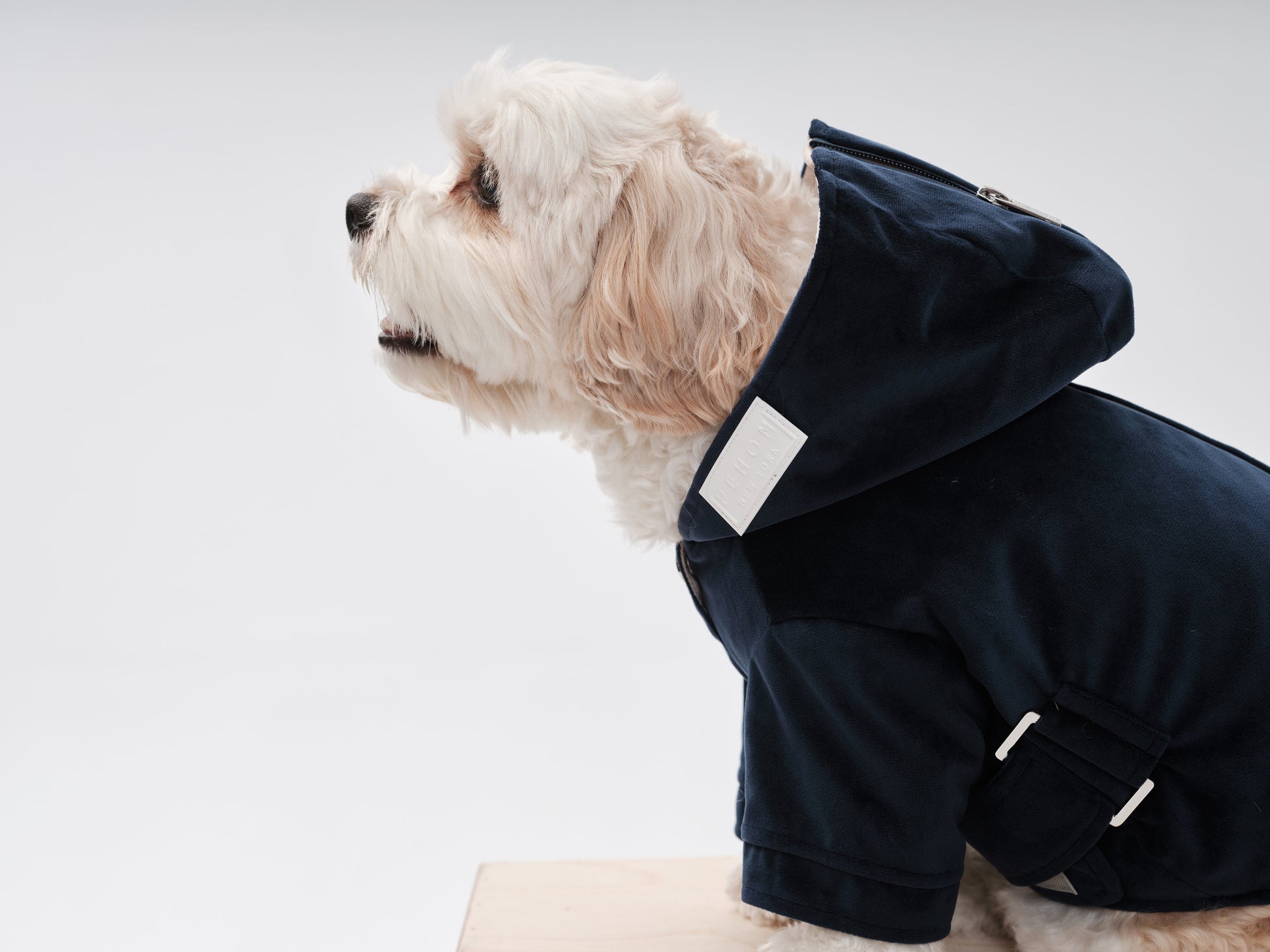 Huston Hoodie Midnight Blue Dog Apparel Premium Pet Supply - lifestyle view