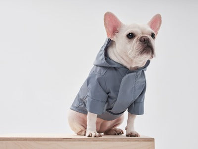 Tribeca Adjustable Velcro Raincoat Light Blue Dog Apparel - lifestyle view