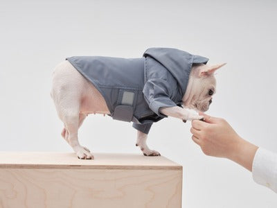 Tribeca Adjustable Velcro Raincoat Light Blue Dog Apparel - close up view