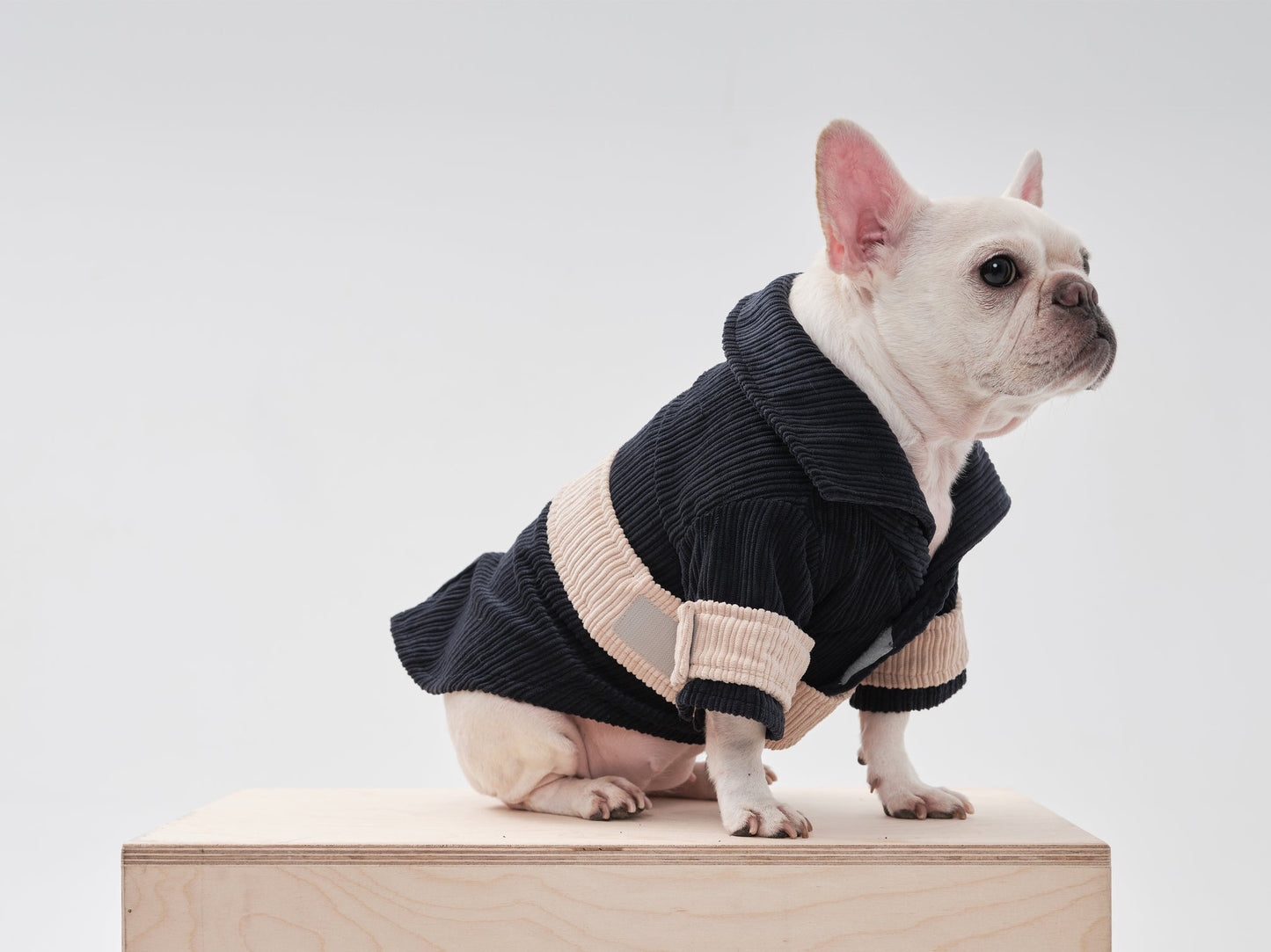 Rope Shirt Blue Beige Dog Apparel Premium Pet Supply Premium - gallery image 5