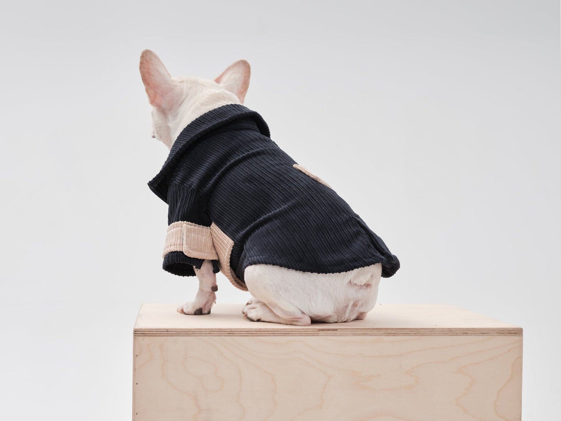 Rope Shirt Blue Beige Dog Apparel Premium Pet Supply Premium - gallery image 6