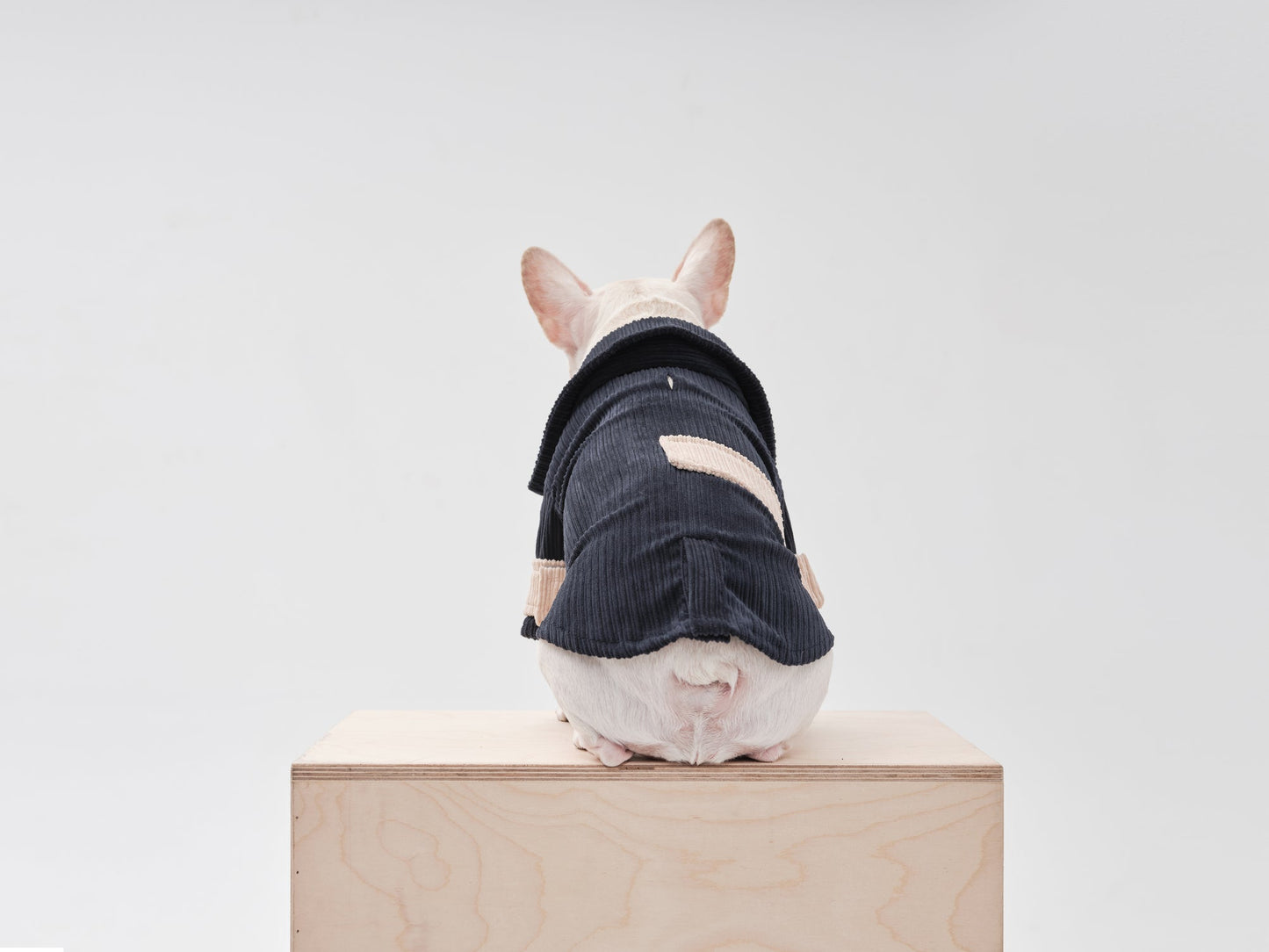 Rope Shirt Blue Beige Dog Apparel Premium Pet Supply Premium - gallery image 7
