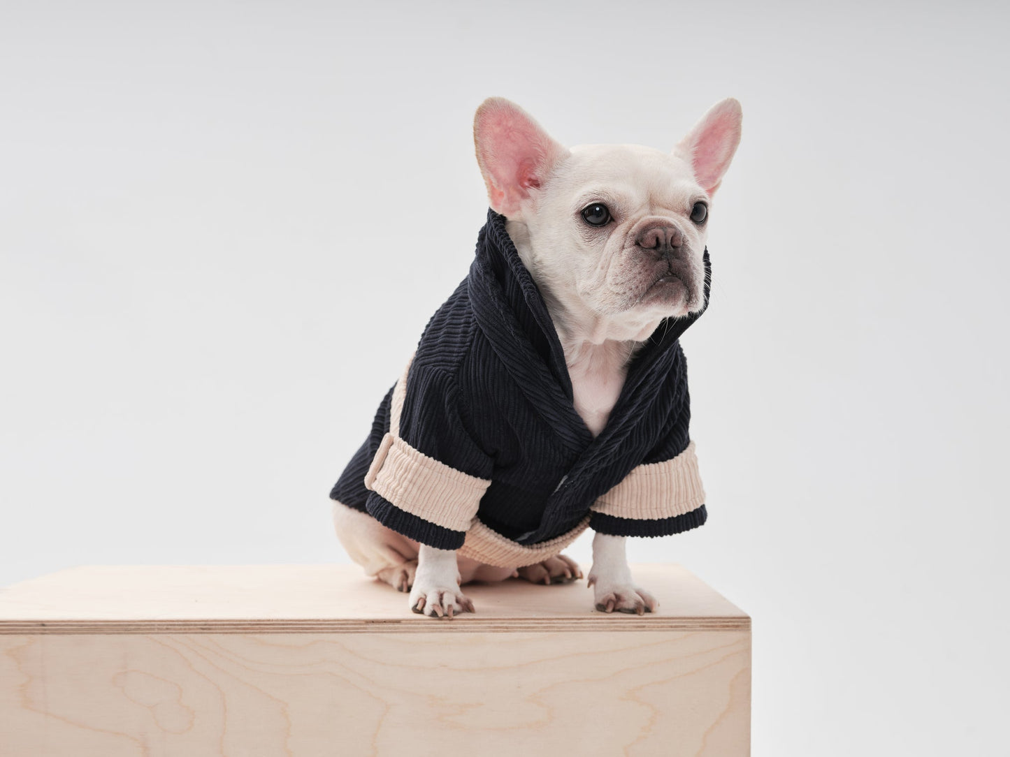 Rope Shirt Blue Beige Dog Apparel Premium Pet Supply Premium - close up view