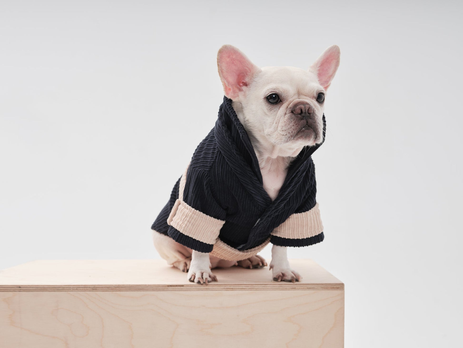 Rope Shirt Blue Beige Dog Apparel Premium Pet Supply Premium - close up view