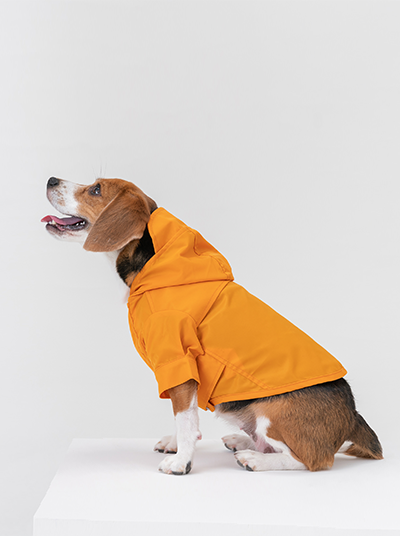 Tribeca Adjustable Velcro Raincoat Egg Yolk Dog Apparel Pet - main product image