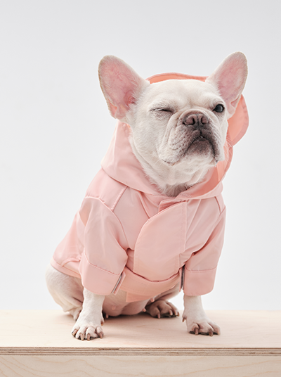 Dog Apparel Active Outdoor Wear Adjustable Pink Comfort - main product image