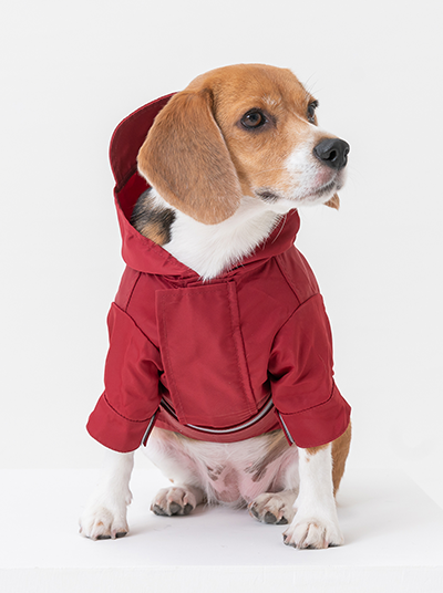 Tribeca Adjustable Velcro Raincoat Burgundy Dog Apparel Pet - main product image