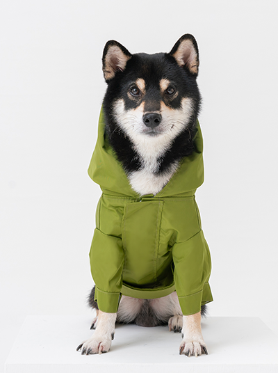 Tribeca Adjustable Velcro Raincoat Olive Dog Apparel Premium - main product image