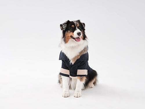 Rope Shirt Blue Beige Dog Apparel Premium Pet Supply Premium - lifestyle view