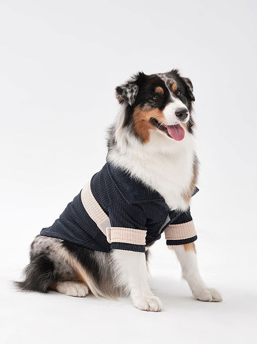Rope Shirt Blue Beige Dog Apparel Premium Pet Supply Premium - main product image