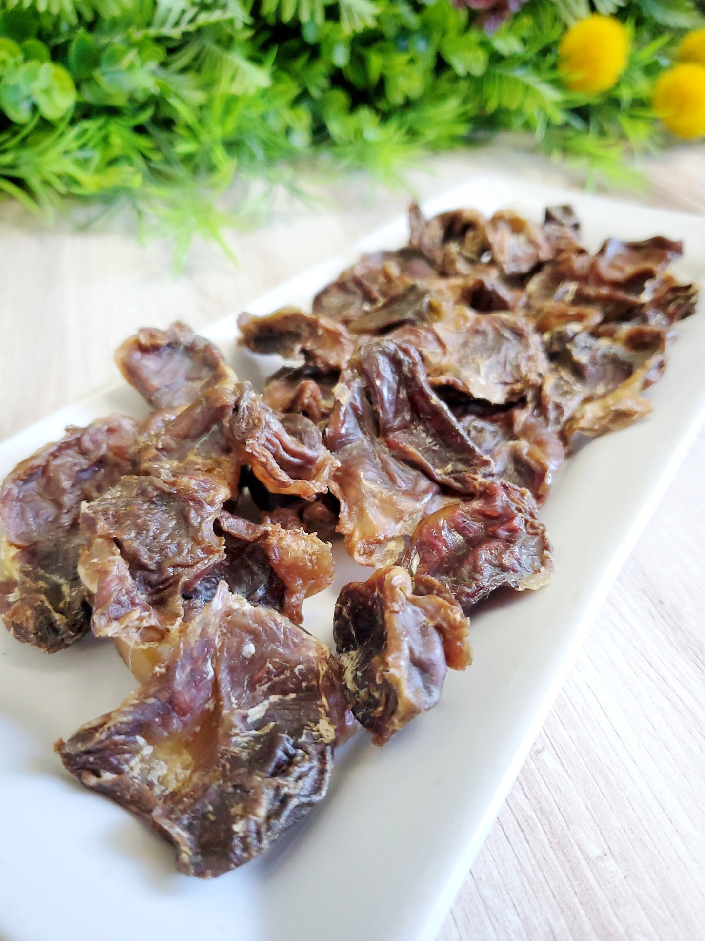 Chicken Gizzards Dog Treats Premium Premium Pet Supply - main product image