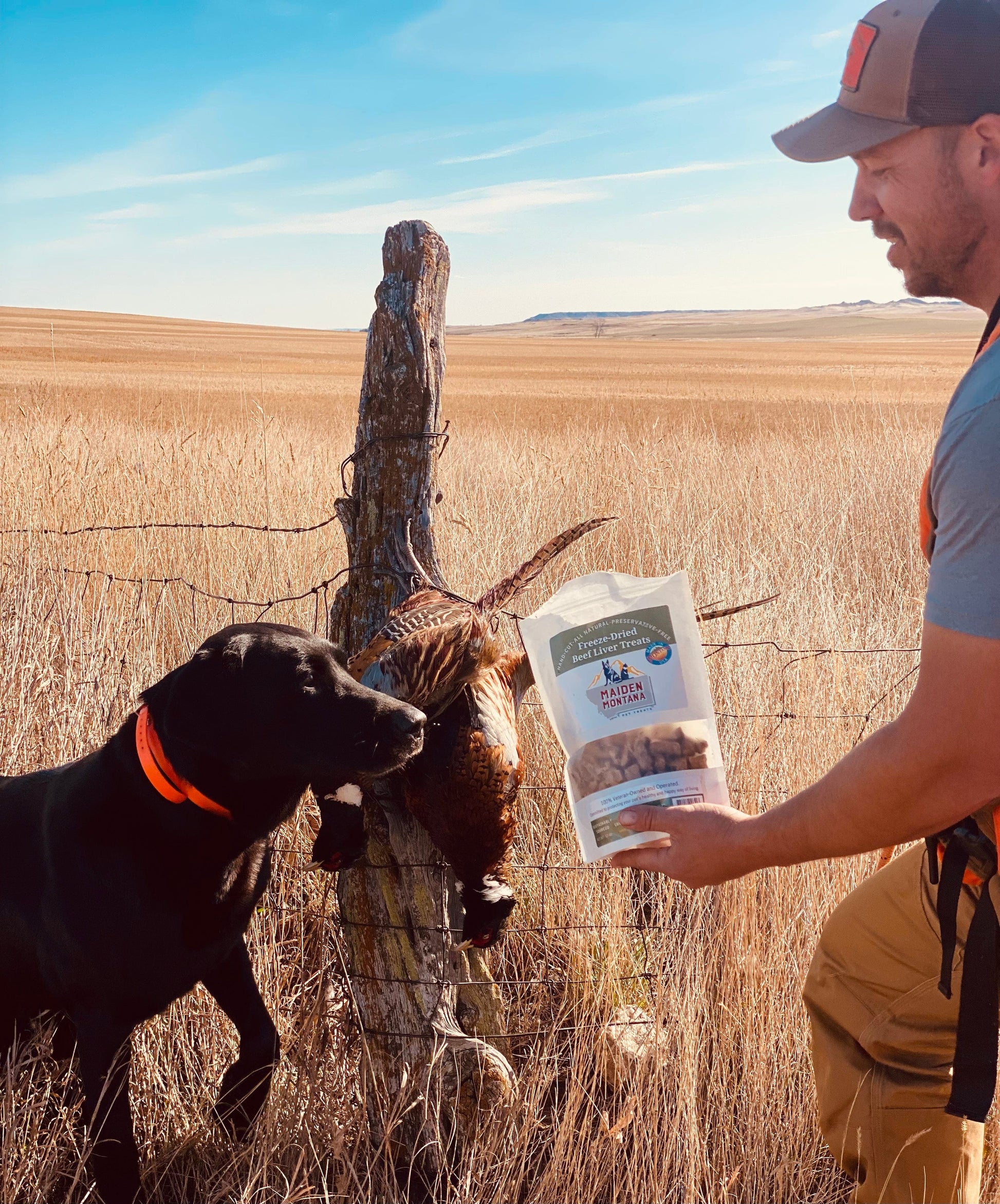 Freeze Dried Treats | Beef Liver | 12oz. - detail view