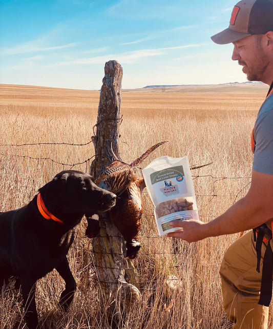 Freeze Dried Treats | Beef Liver | 12oz. - detail view