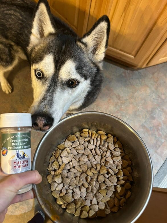 Freeze Dried Beef Liver Pet Food Topper 2 5 Pet Treats - detail view
