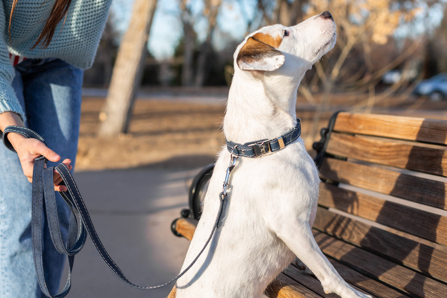 Dog Collar Pro Line Quick-Release Blue Jeans Leather Collar main product image for dogs and cats