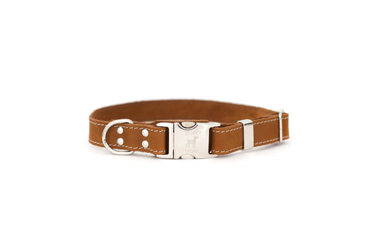 Dog Collar Pro Line Quick-Release Earth Brown Leather Collar main product image for dogs and cats