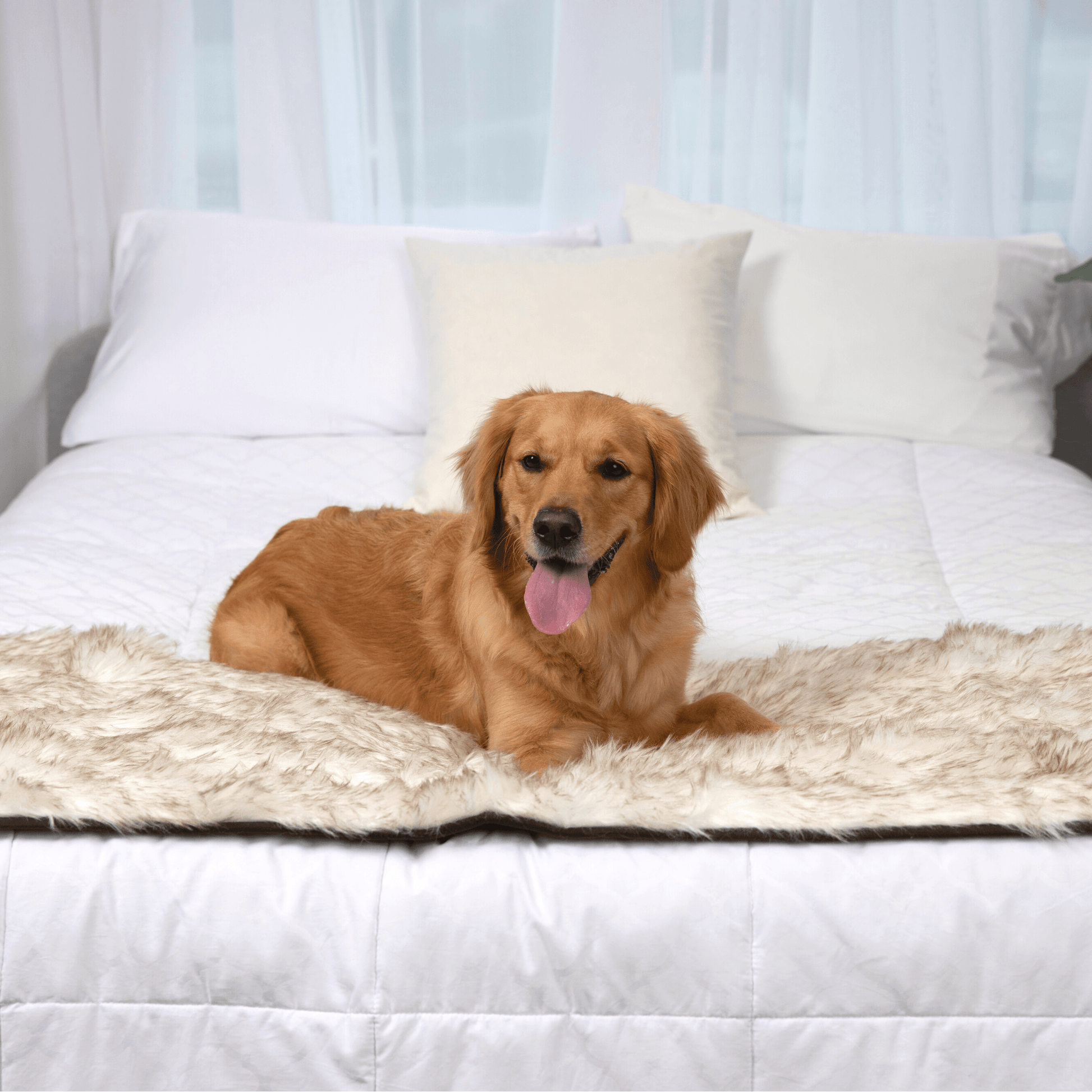 Pupprotector Waterproof Bed Runner White With Brown Accents - gallery image 11