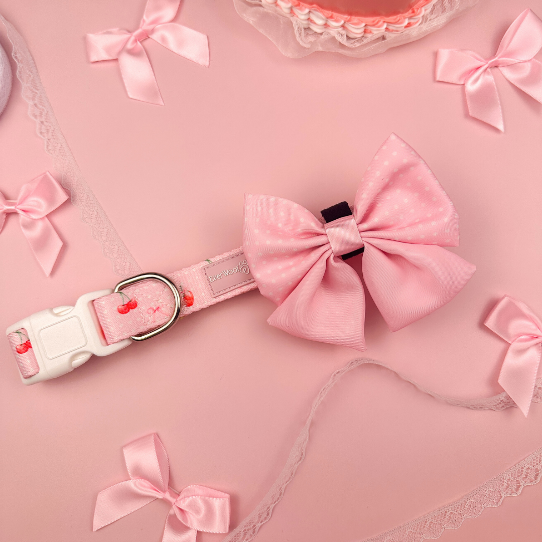 Pet Collar Sweet Chrie Collar for Daily Use for Comfort - lifestyle product image for pet collar