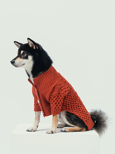 Bert Cardigan Sweater Orange Dog Apparel Premium Pet Supply - lifestyle view
