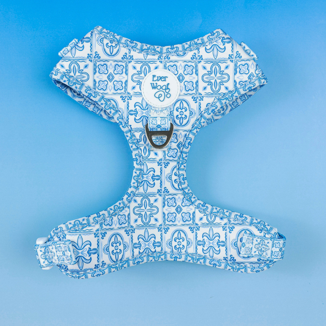 Pet Harness Harness Santorini Adjustable Harness for Comfort - main product image for pet harness