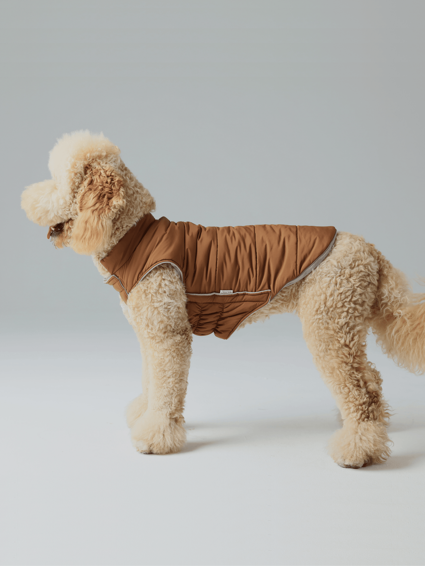Dog Apparel Active Outdoor Wear Adjustable Grey Comfort - gallery image 19