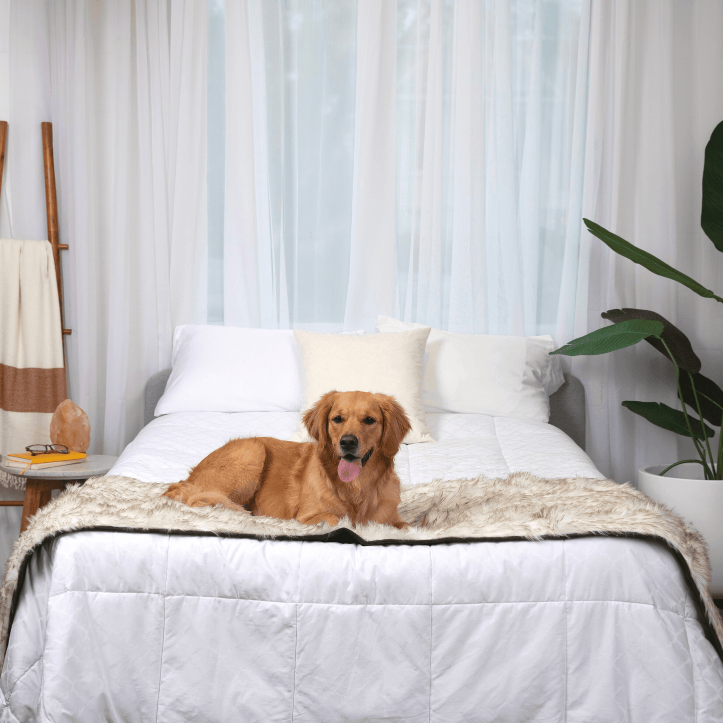 Pupprotector Waterproof Bed Runner White With Brown Accents - gallery image 13