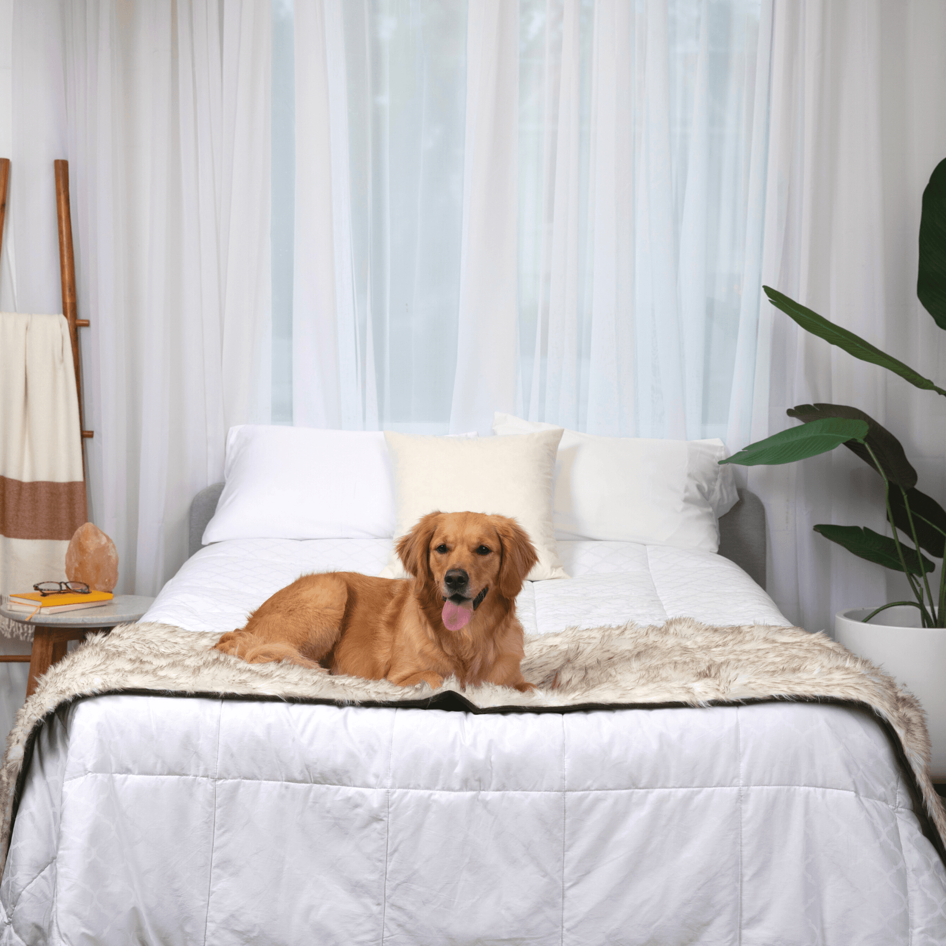 Pupprotector Waterproof Bed Runner White With Brown Accents - gallery image 13