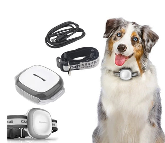 Collared Cat Dog Tracker Pet Locator Pet Adjustable Dog Gear - detail view
