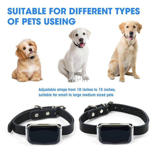 Pet Tracking Locator Dog Training Supplies Premium Pet - main product image