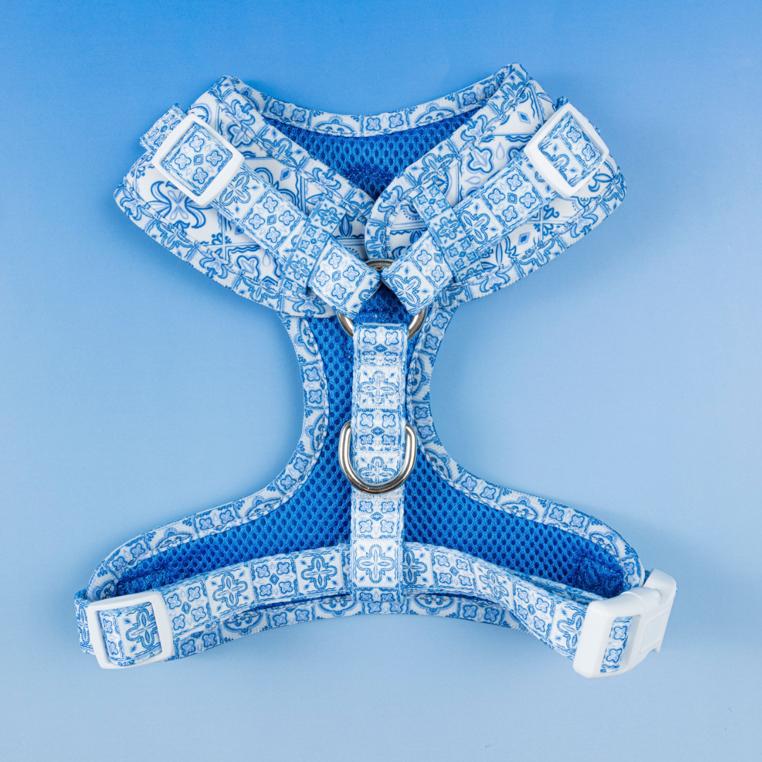 Pet Harness Harness Santorini Adjustable Harness for Comfort - detail product image for pet harness