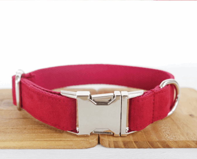 Pet Traction Dog Collar Adjustable Dog Walking Gear Premium - lifestyle view