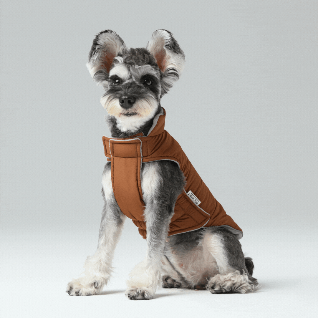Dog Apparel Active Outdoor Wear Adjustable Grey Comfort - detail view