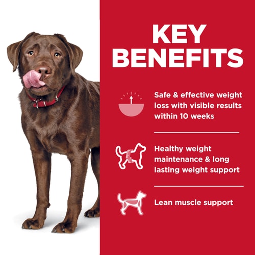 Hills Science Diet Adult Perfect Weight Large Breed Dry Dog - gallery image 5