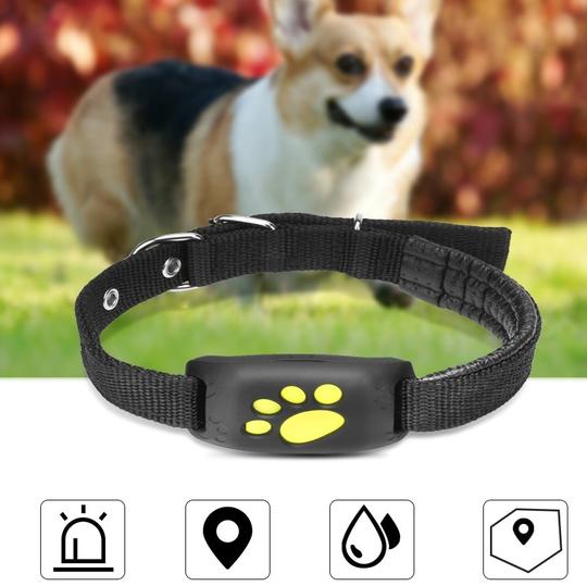 Gps Pet Tracker Dog Training Supplies Premium Pet Supply - main product image