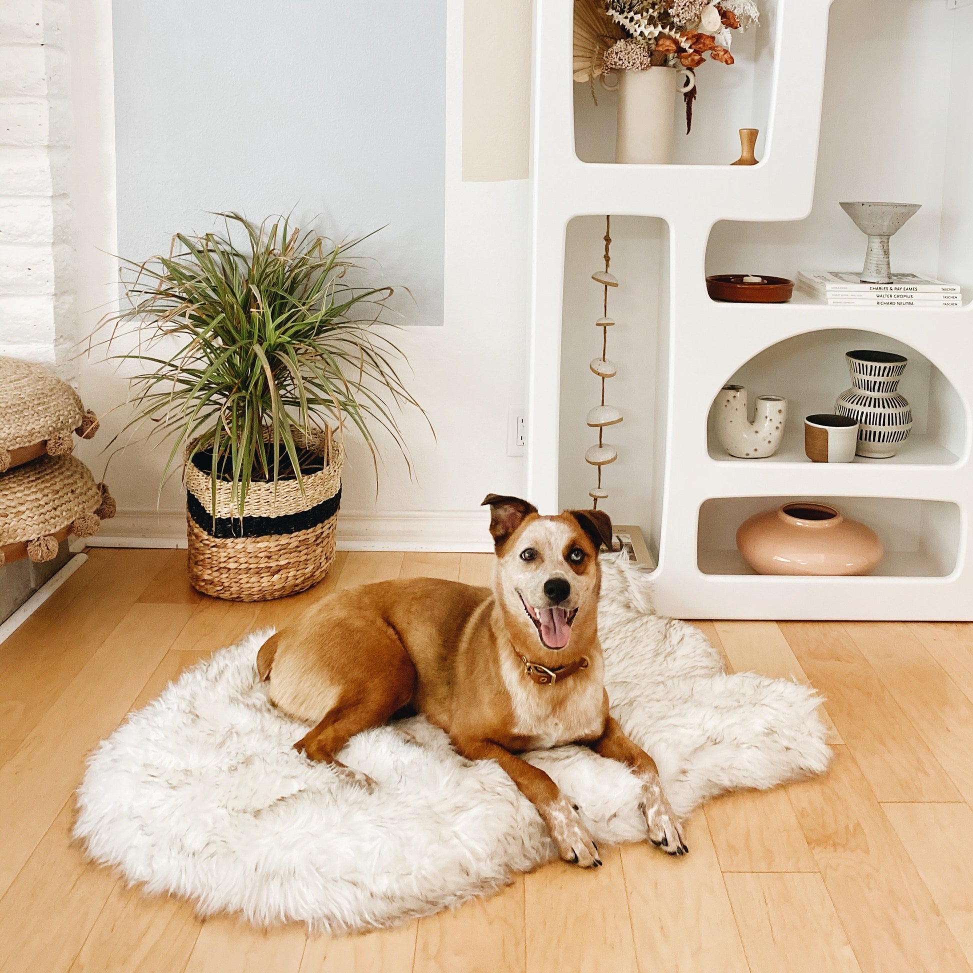 Puprug By Faux Fur Orthopedic Dog Bed Curve White - detail view