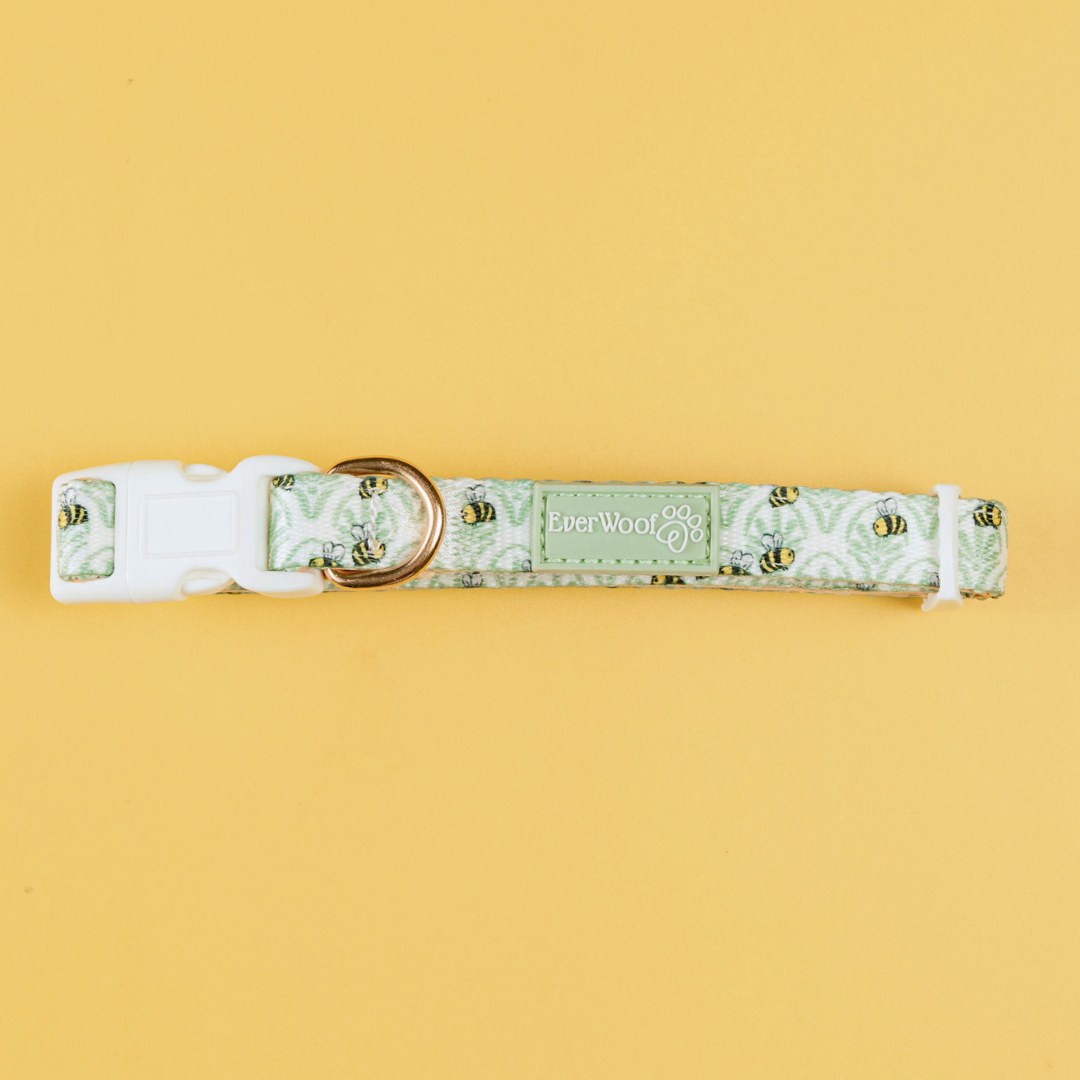 Pet Collar Little Honey Collar for Daily Use for Comfort - main product image for pet collar