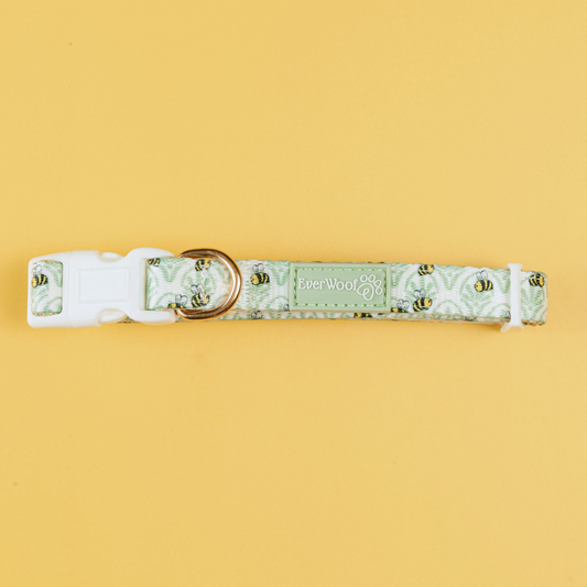 Pet Collar Little Honey Collar for Daily Use for Comfort - main product image for pet collar