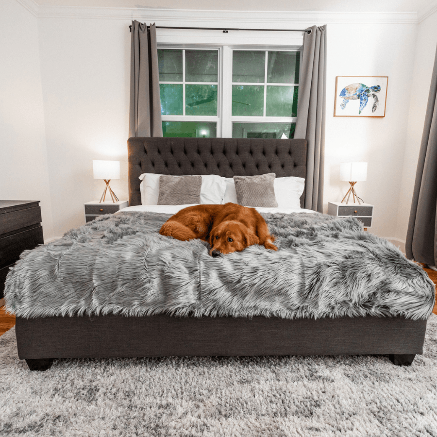 Pupprotector Waterproof Throw Blanket Charcoal Grey Pet Bed - gallery image 6