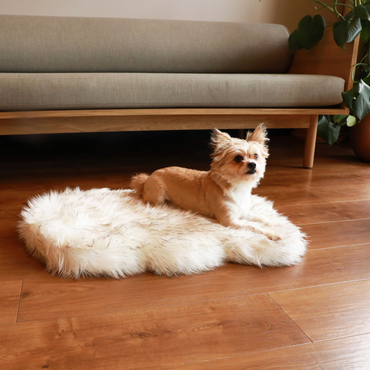 Puprug By Faux Fur Orthopedic Dog Bed Curve White - lifestyle view