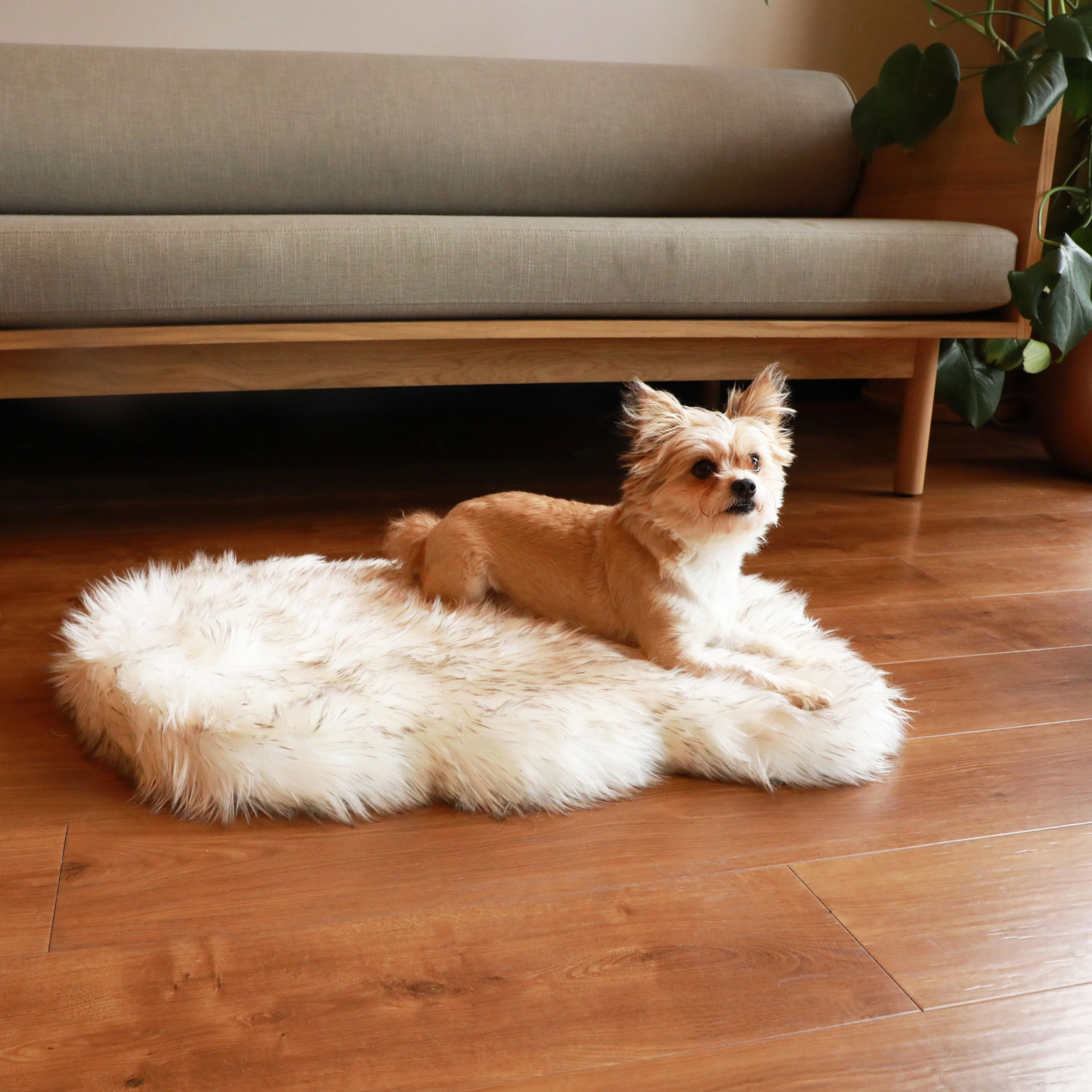Puprug By Faux Fur Orthopedic Dog Bed Curve White - lifestyle view