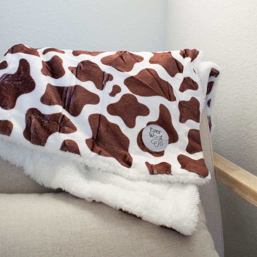 Dog Bed Chocolate Cow Blanket for Daily Use for Comfort - lifestyle product image for dog bed