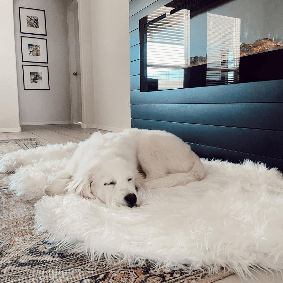Memory Foam Dog Bed Faux Fur Polar White Orthopedic Comfort - gallery image 8
