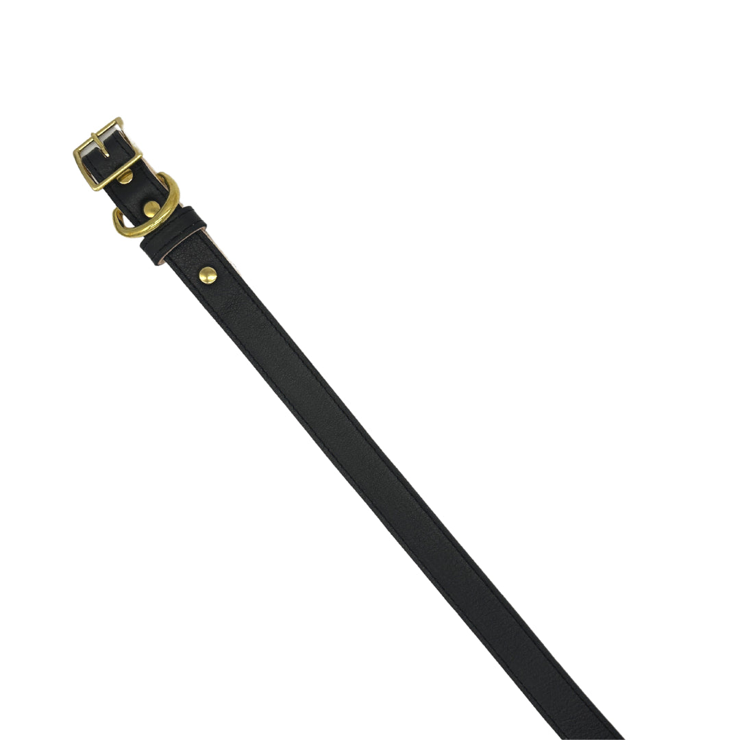 Dog Collar Plain Leather Collar for Daily Use for Comfort - lifestyle product image for dog collar