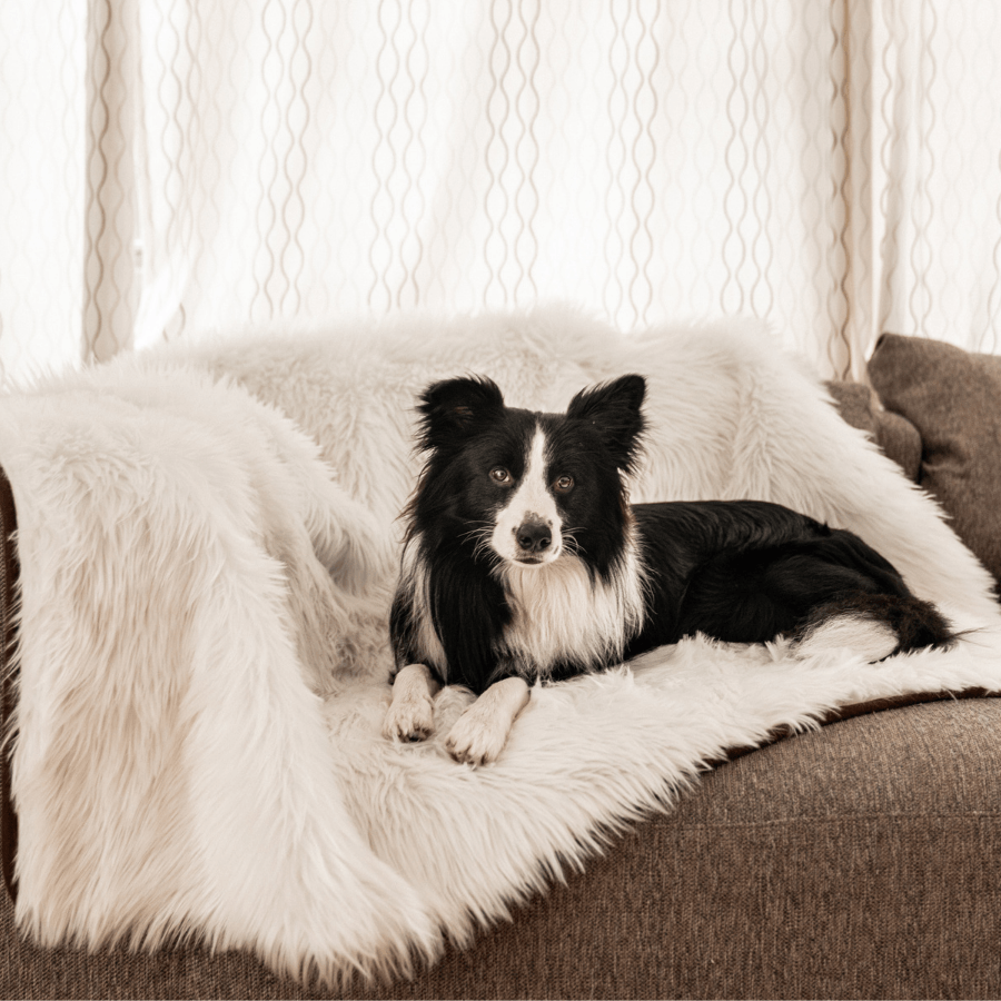 Pupprotector Waterproof Throw Blanket Polar White Washable - gallery image 5