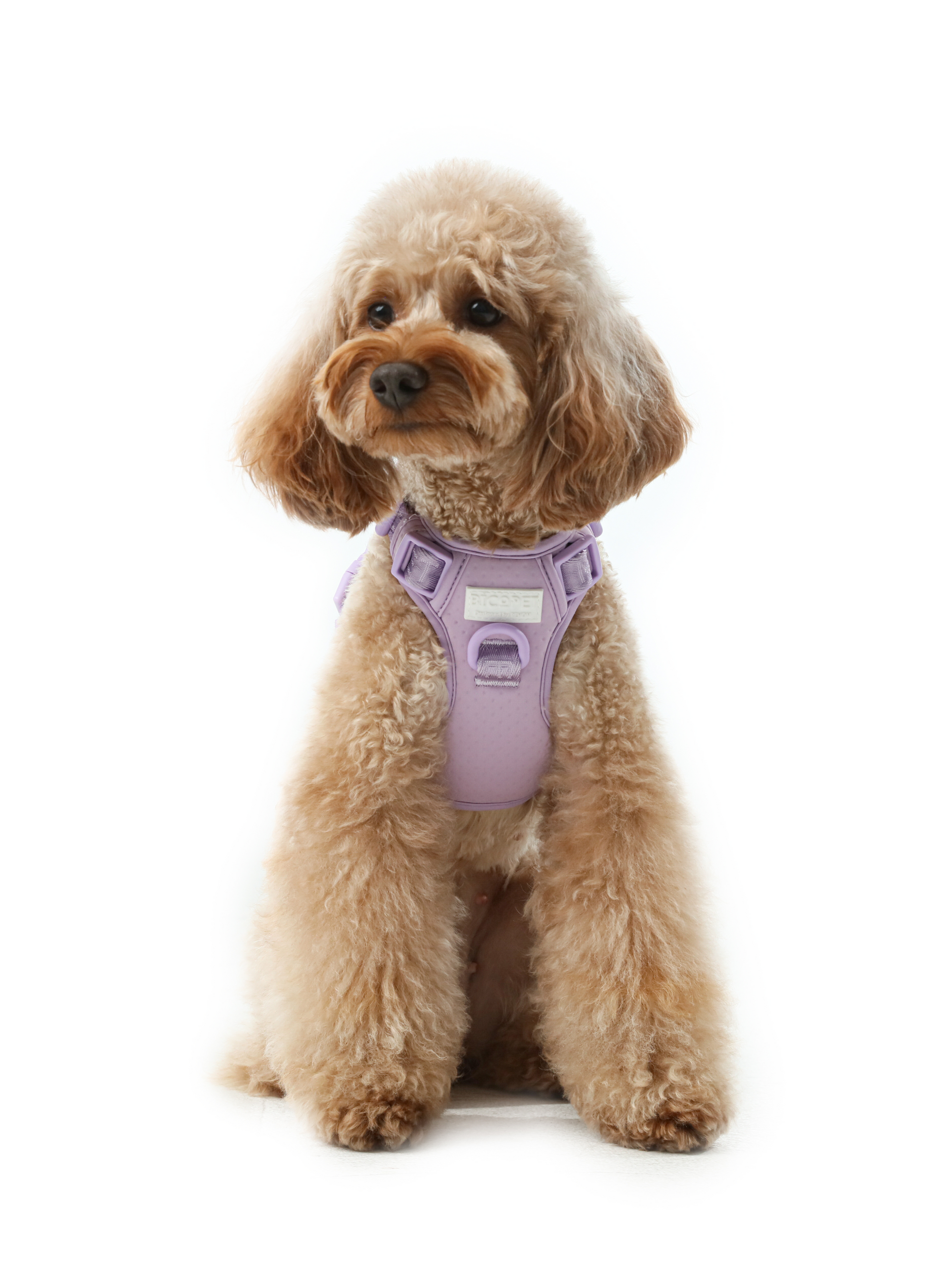 Dog Harness No Pull Active Fit Adjustable MINT PURPLE Walkin - main product image