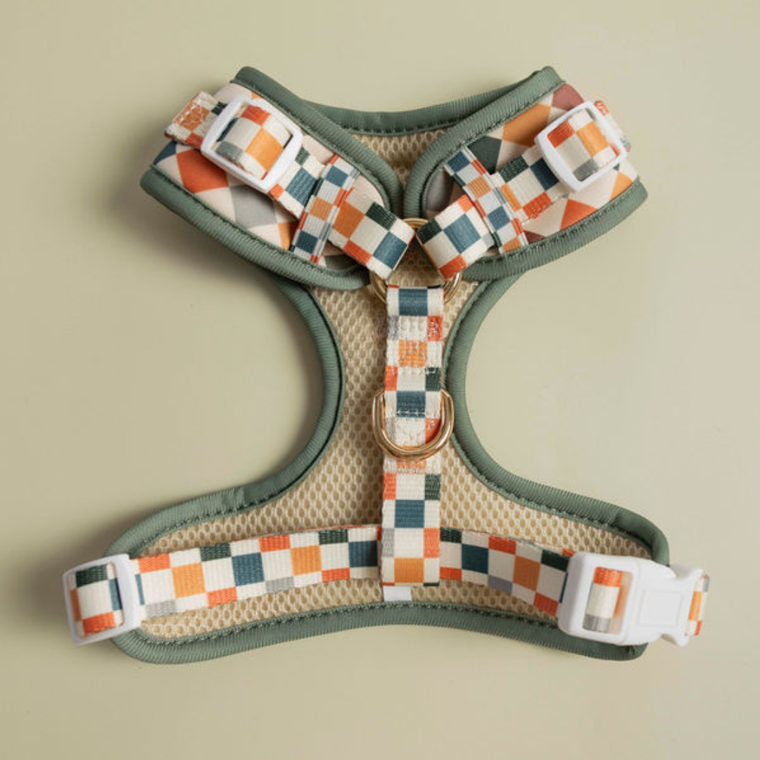 Pet Harness Harness Sage Cider Adjustable Harness Essential - detail product image for pet harness