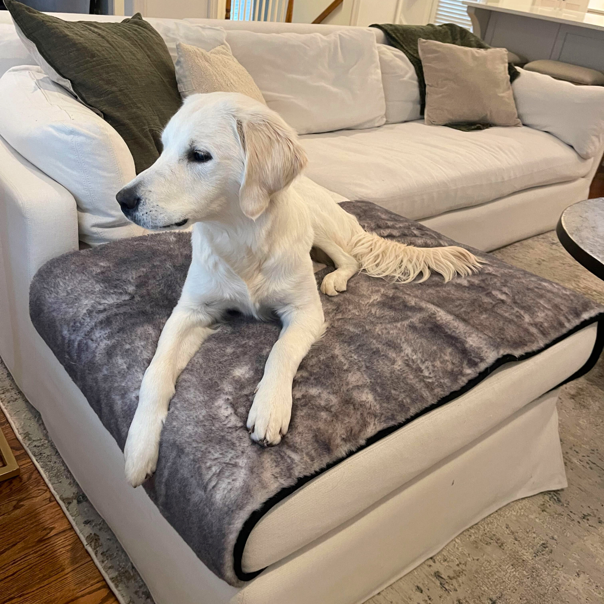 Pupprotector Luxe Waterproof Bed Runner Ultra Soft Washable - gallery image 6